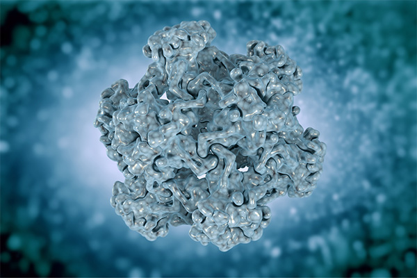 Le Human Papilloma Virus, une vaccination indispensable pour une immunité de groupe